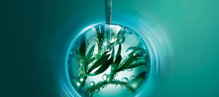 Seaweed extract